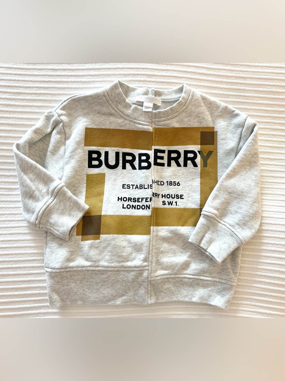 Burberry Kids Light Gray Sweatshirt with Gold Logo Blocks
